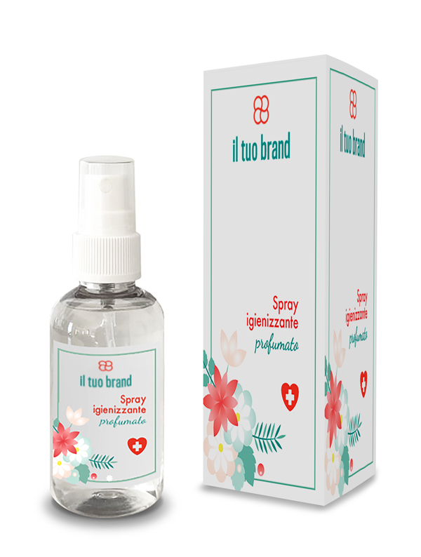 Spray Igienizzante mani 100ml con ASTUCCIO