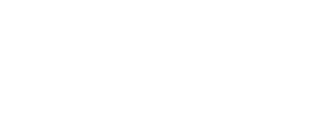 logo nativa ESECUTIVO bianco