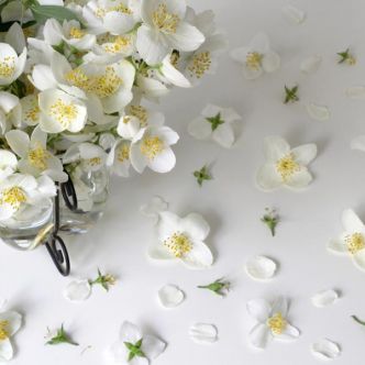 Prototipazione/ Campionatura